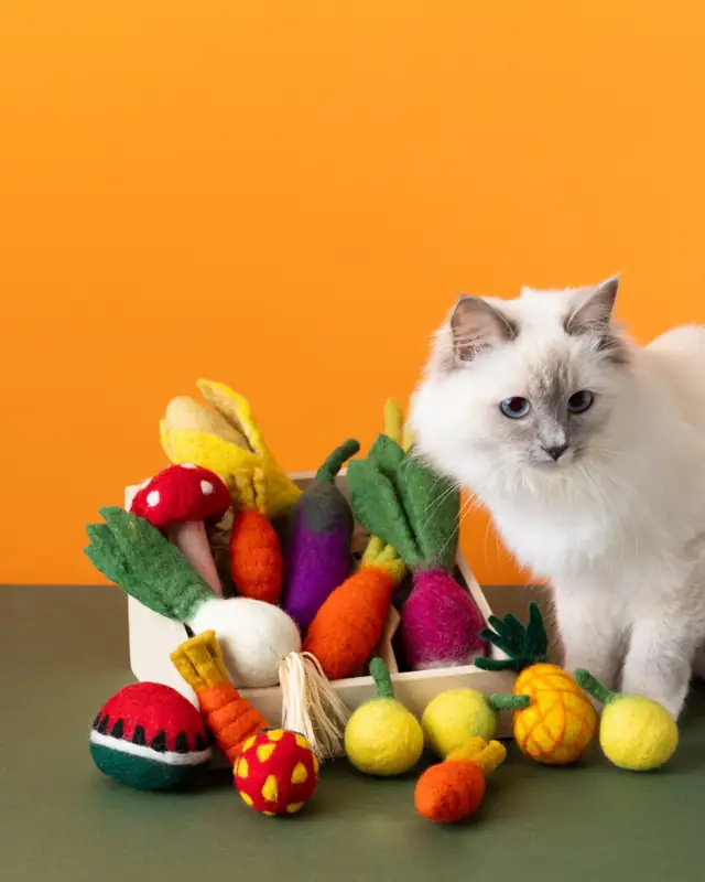 A cat with a basket of felted fruit and vegetable toys
