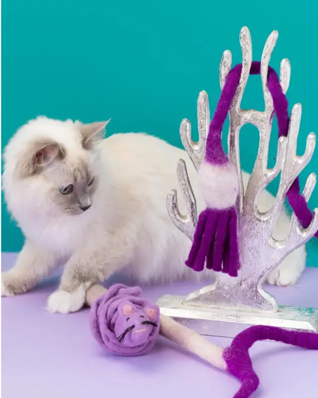 A cat playing with felted wand toys